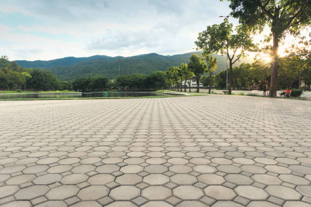 Best Professional Driveway Pavers  in East Newark, NJ